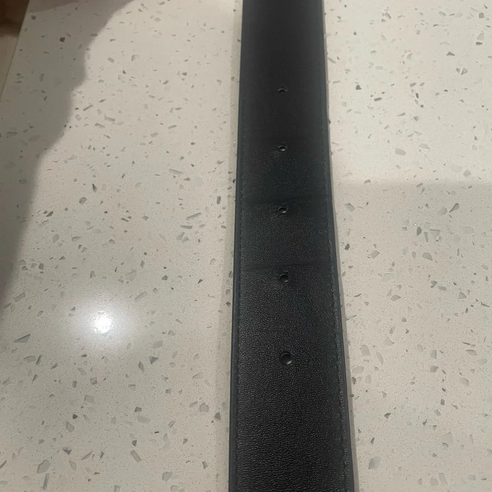 Helsa Logo Belt $150 Retail